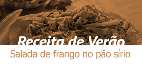 Salada de frango no pão sírio