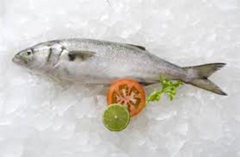 Ingrediente fresquinho de hoje: Anchovas