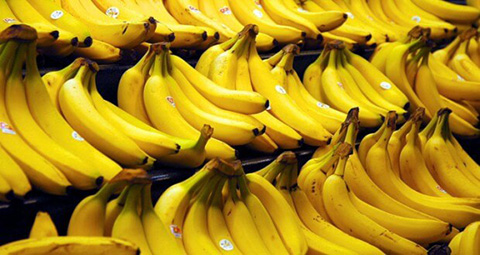 Ingrediente fresquinho de hoje: Banana